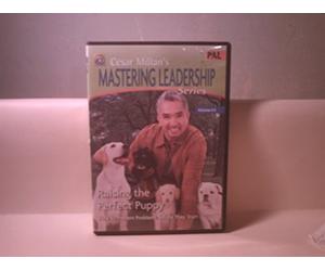 Cesar Millan's Mastering Leadership Series Volume 6: Raising the Perfect Puppy