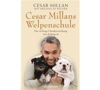 Cesar Millans Welpenschule