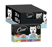 César Multipack Tarifs Alimentaires humides pour Chiens Seniors, sélection de viandes Mixtes (6 x 4 Tarrin x 150g Pack)