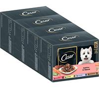 Cesar Nourriture Humide pour Chien Adulte Sélection en Sauce - 48 sachets - 12 x 100 g (Lot de 4) - Nourriture équilibrée de qualité supérieure pour Chien - Choix avec bœuf, Poulet, Agneau et Dinde