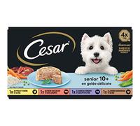 Cesar Barquettes en Gelé 4 Variétés pour Chien Senior (4x150 g) - pack de 6