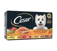Cesar - Pâtée Gourmande pour Chien Adulte, Saveurs Poulet, Bœuf et Légumes Frais (4 barquettes) - Le Lot De 3