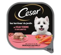 Cesar - Pâtée Gourmande Veau et Carottes, Texturée et Savoureuse pour Chien Adulte (300g) - Lot de 4 - Vendu par Lot