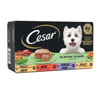 CESAR Repas pour Chien - Lot de 24 barquettes de 150g - Pâtée pour Chien en Terrine du Jardin (4 variétés) - Nourriture Humide Pour Chien Elaborée avec des Ingrédients Naturels
