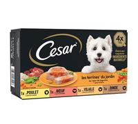 CESAR Repas pour Chien - 24 Barquettes (Lot de 6 Packs de 4x150g) - Pâtée pour Chien en Terrine au Coeur de Légumes - au Boeuf / Poulet / Volaille / Dinde, avec des Ingrédients Naturels