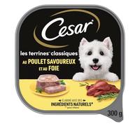 CESAR Repas pour Chien - Lot de 20 barquettes de 300g - Pâtée pour Chien Les Terrine Classiques au Poulet savoureux et au Foie - Nourriture humide pour chien