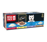 Cesar Selektion in Gelee Premium Nourriture humide pour chiens âgés de 10 ans dans un sachet portion sans céréales avec superaliments en 4 variétés 40 x 100 g