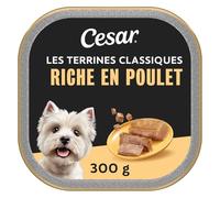 Cesar Terrine Classique 20 x 300 g pour Chien Adulte Riche en Morceaux de Poulet (Pack de 20)