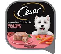 Cesar Veau en Terrine pour Chien 300 g