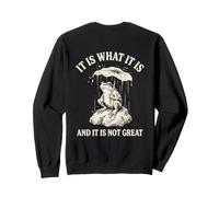 C'est ce Que C'est et ce n'est Pas Une Excellente Grenouille (à l'arrière) Sweatshirt