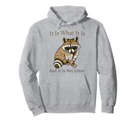 C'est ce que c'est et ce n'est pas une excellente santé mentale raton laveur Sweat à Capuche