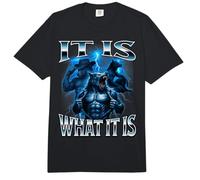 C'est ce Que Dit Alpha Wolf Meme : Beta Unhinged Brainrot Comfort Colors Adult Heavyweight T-Shirt