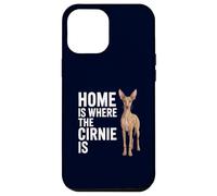 C'est chez Vous Que se Trouve Le Chien sicilien Cirnie Cirneco dell'Etna Coque pour iPhone 12 Pro Max