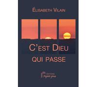C'est Dieu qui passe - Elisabeth Vilain - Nepsis-Pare - broché - Essai