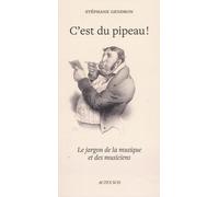 C'est du pipeau ! Le Jargon de la musique et des musiciens - Stéphane Gendron - Actes sud - broché - Essai