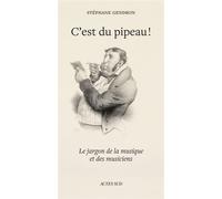 C'est du pipeau ! Le Jargon de la musique et des musiciens - Stéphane Gendron - Actes sud - broché - Essai