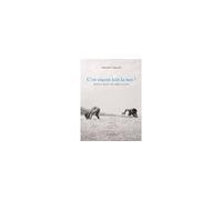 Vincent Migeat – C'est encore loin la mer ? – Actes Sud
