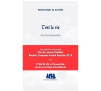 C'est La Vie - Une Fiction Documentaire
