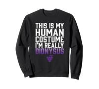 C'est Mon Costume Humain, Je suis Vraiment Dionysos Sweatshirt