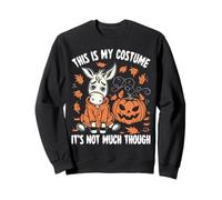 C'est Mon Costume, mais Pas Grand-Chose pour Halloween avec Un âne Sweatshirt