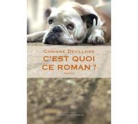 C'est quoi ce roman ?