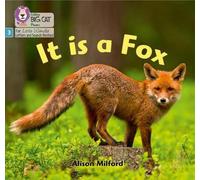 C'est un renard