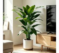 Cet arbre bananier artificiel extra-large de 25,59 pouces convient à une utilisation intérieure et extérieure. Ses feuilles vertes réalistes sont parfaites pour les maisons, les bureaux, les jardins e