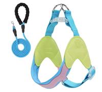 Cet Ensemble Harnais et Laisse Anti-Traction en Forme de Y est conçu pour Les Basset Hound et Comprend Un Gilet de Poitrine rembourré réglable et des Bandes réfléchissantes. Green XS+2M