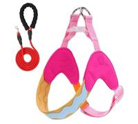 Cet Ensemble Harnais et Laisse Anti-Traction en Forme de Y est conçu pour Les Dogue de Bordeaux et Comprend Un Gilet de Poitrine rembourré réglable et des Bandes réfléchissantes. Pink XS+3M