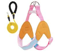 Cet Ensemble Harnais et Laisse Anti-Traction en Forme de Y est conçu pour Les Great Pyrenees et Comprend Un Gilet de Poitrine rembourré réglable et des Bandes réfléchissantes. Orange Color XXS+1.5M