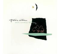 Cetera, Peter - One More Story
