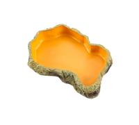 Cetfuro d'alimentation pour Plaque de Terrarium Mangeoire pour Bol d'alimentation pour Amphibiens pour Grenouille Tortue Dragon Barbu Tortue, M