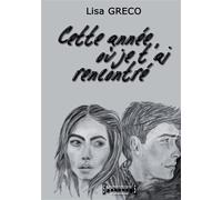 Cette année où je t'ai rencontré - Lisa Greco - Sudarenes - broché - Roman adolescent dès 13 ans