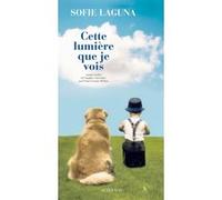 Cette lumière que je vois Sofie Laguna (Auteur), France Camus-Pichon (Traduction)