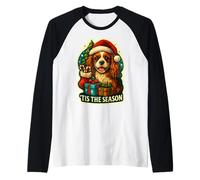 Cette Saison : Cavalier King Charles Spaniel Christmas | CKCS Manche Raglan