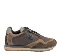 Cetti Baskets basses C848 in Marron 43