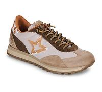 Cetti Baskets basses C-1259-SRA-INV26-ANTE-NILON-DESSERT in Marron 39