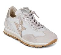 Cetti Baskets basses C-1259-SRA-V26-ANTE-MESH-MARFIL in Blanc 40