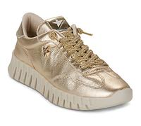 Cetti Baskets basses C-1381-SRA-V26-GORDON-CHAMPAGNE in Doré 40