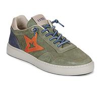 Cetti Baskets basses C-1410-V26-EVER-SALVIA in Kaki 44