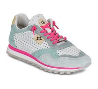 Cetti Baskets basses C-848-SRA-V26-NATURE-MULTICOLOR in Multicolore 39