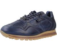 Cetti C848 Inv26 Couleur Bleu