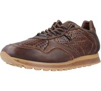 Cetti C848 Inv26 Couleur Marron