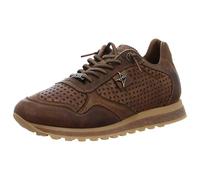 Cetti C848 Inv26 Testa 42 EU