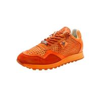 Cetti C848 V26 Ambar 41 EU