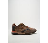 cetti chaussures homme de couleur marron 45