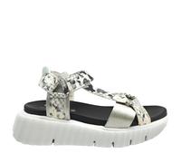 Cetti CONFORTABLE Y ÉLÉGANTSANDALE FEMME 1316 CUIR ANIMAL PRIN Y ARGENT talla numeric_39
