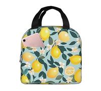 Ceudet Sac à déjeuner isotherme en tranches et citrons entiers - Boîte à déjeuner polyvalente pour homme et femme - Idéal pour le travail, la vie universitaire, les voyages et les activités de plein