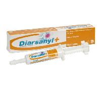 Ceva Diarsanyl + Chien Chat Seringue 10ml