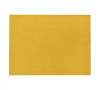 CEVAN Set de Table Coton Lin Industriel sous Plat Simplicité Lot de 1, Exterieur Napperon Couleur Orange Imperméable pour Les Repas dans Restaurant, 21x32cm